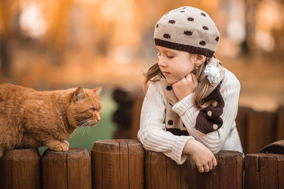 chats enfants