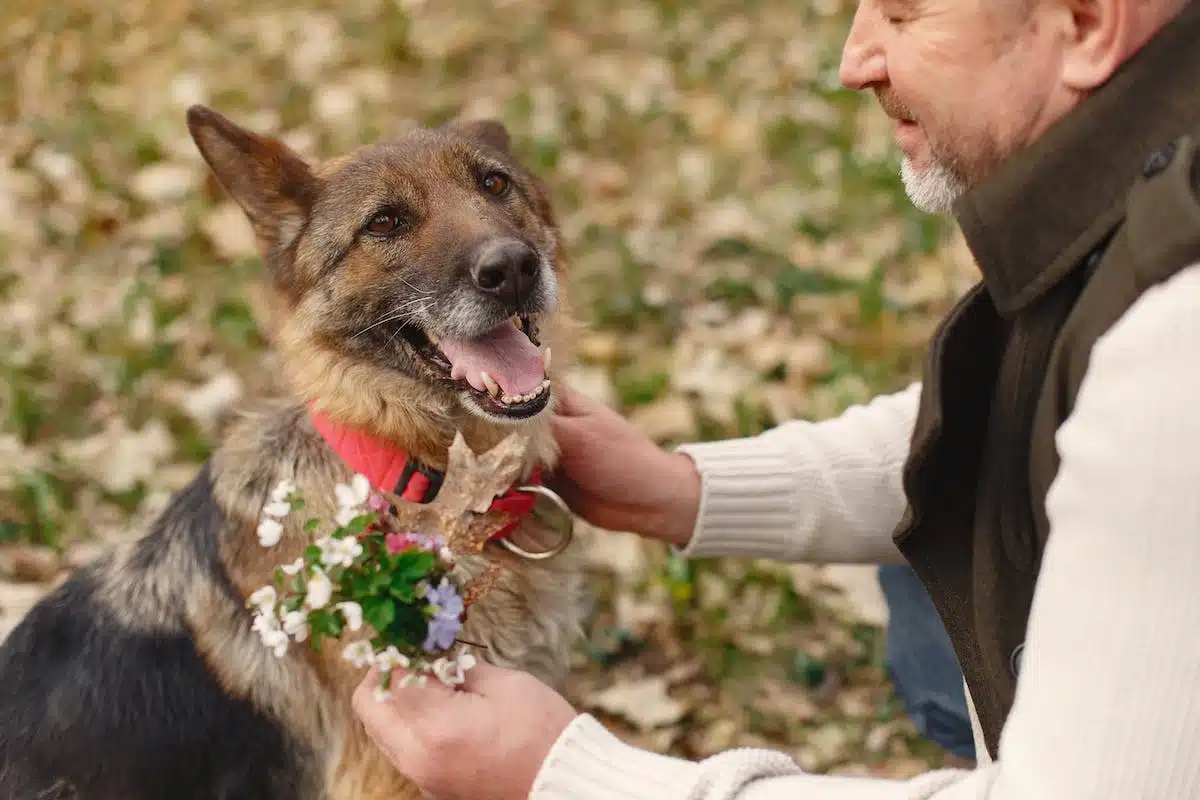 homme  animaux